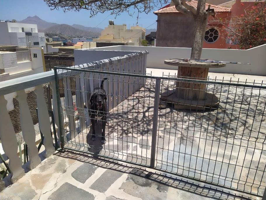 Vivenda Com Patio, No Coracao Do Mindelo Villa Ngoại thất bức ảnh